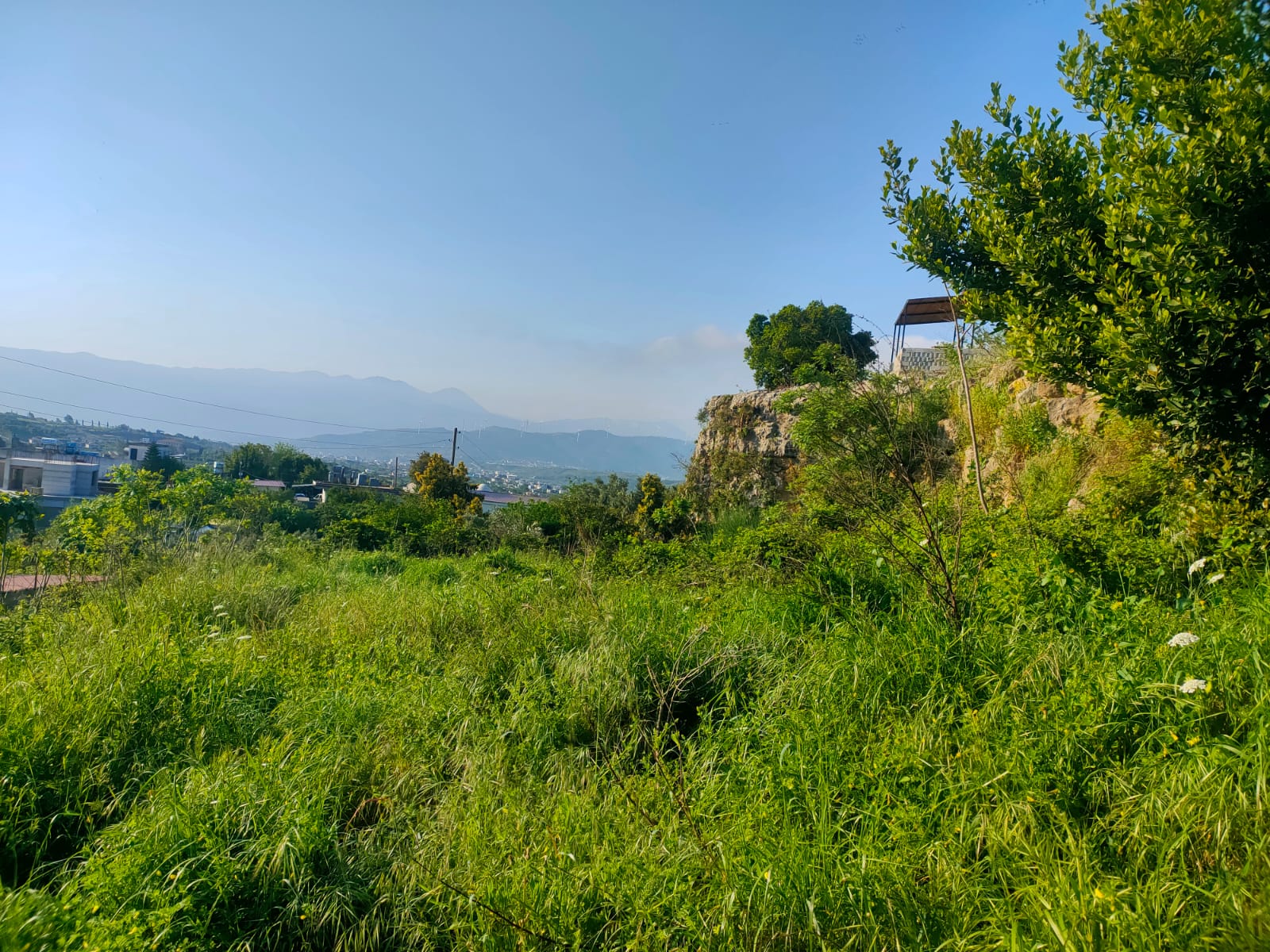 THOR'DAN SAMANDAĞ YAYLICA ATATÜRK MAHALLESİ 499 m² SATILIK ARSA