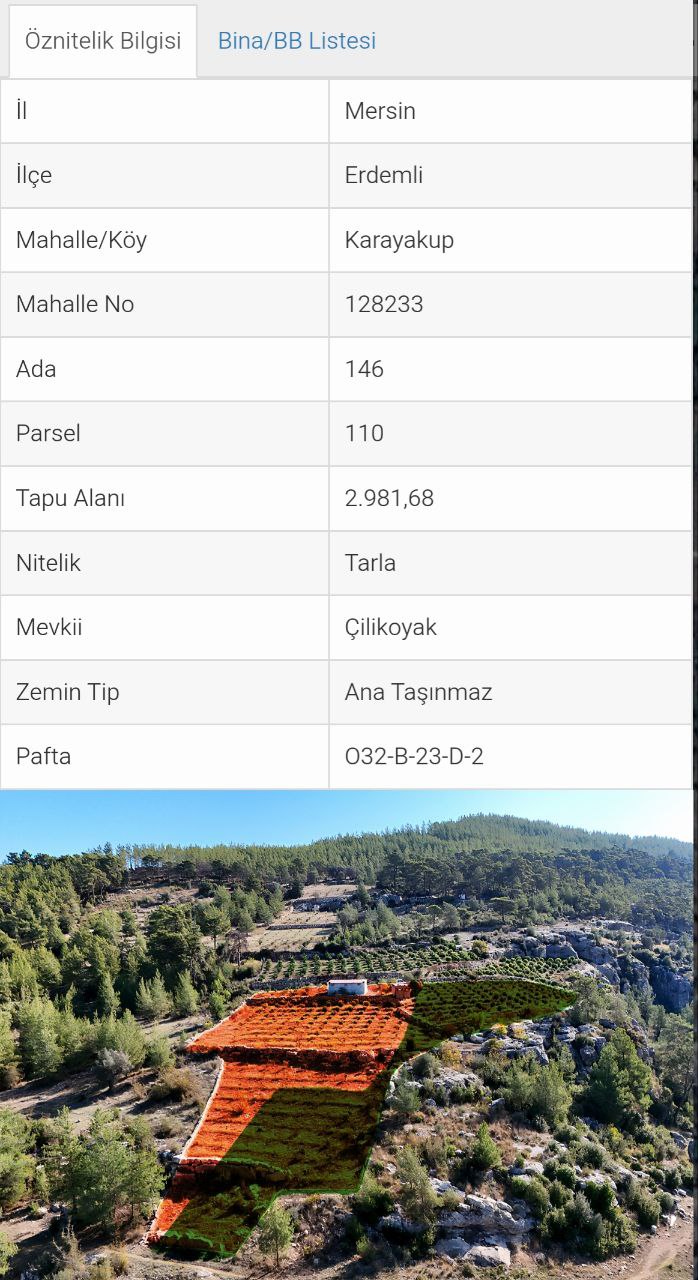 THOR'DAN ERDEMLİ KARAYAKUP'TA  8.000 m² SATILIK LİMON BAHÇESİ!
